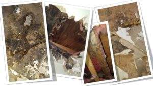 Mold from DIY water damage repair