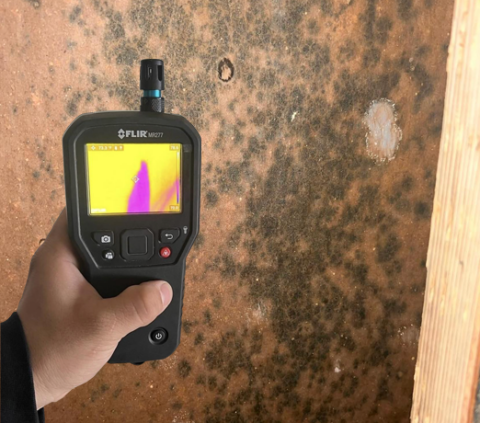 fpo-mold-image cleaning mold