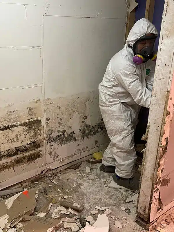 Technician in a protective suit removing mold-damaged drywall